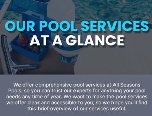 Our Pool Services at a Glance [infographic]