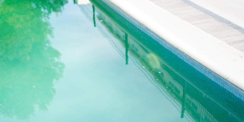 Three Signs You Need Professional Pool Cleaning Services